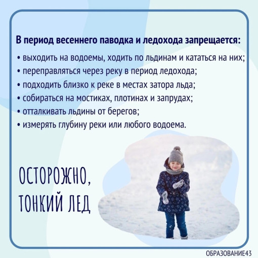 Памятка "Осторожно, тонкий лед!" Памятка "Осторожно, тонкий лед!".